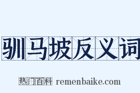 驯马坡反义词是什么意思的图片